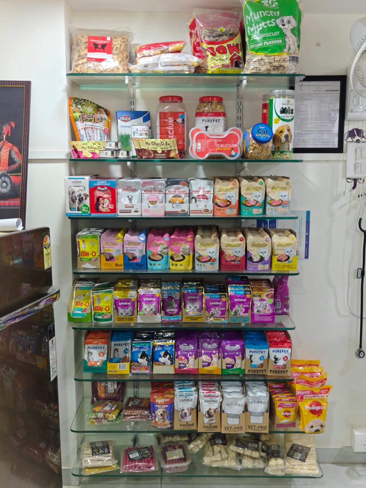 Sarvadnya Pet Care Unit veterinary clinic, Pune